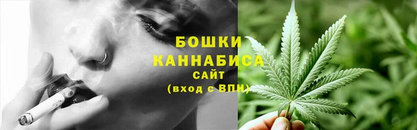 jwh Пересвет