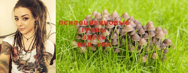 прущий лед Переславль-Залесский
