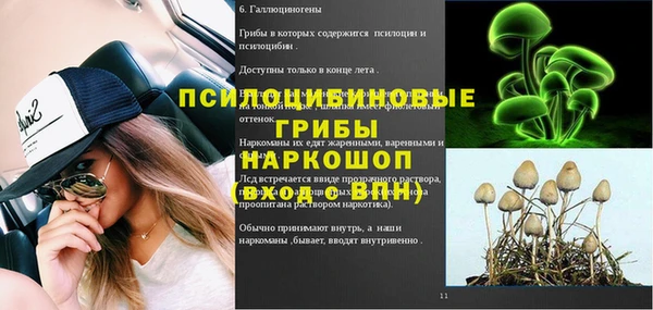 мяу мяу мука Покачи