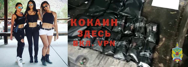 jwh Пересвет