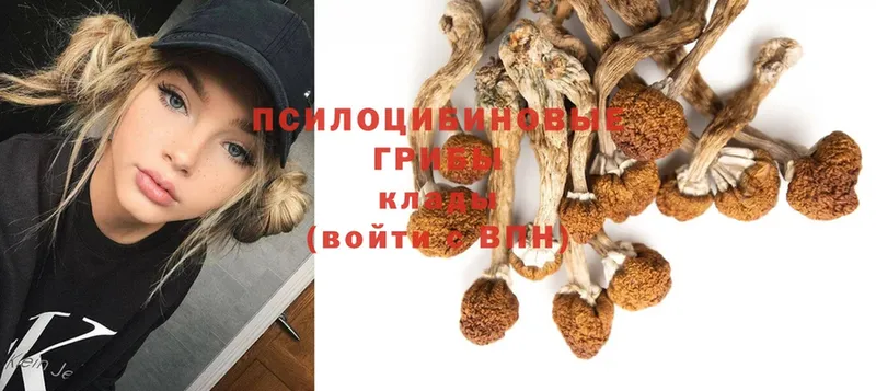 Псилоцибиновые грибы Magic Shrooms  Княгинино 